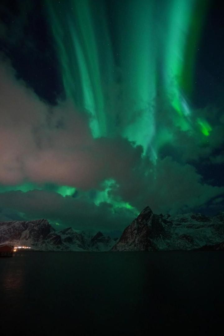 Lofoten Panoramic Luxury Home With Sauna Moskenes Extérieur photo