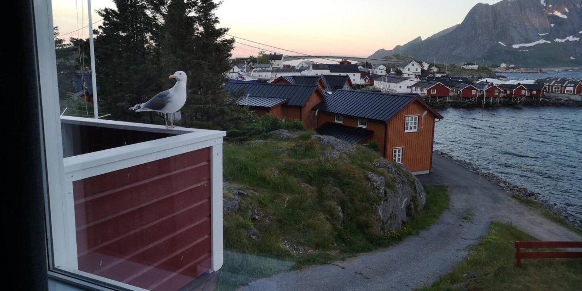 Lofoten Panoramic Luxury Home With Sauna Moskenes Extérieur photo
